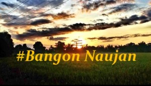 Bangon Naujan